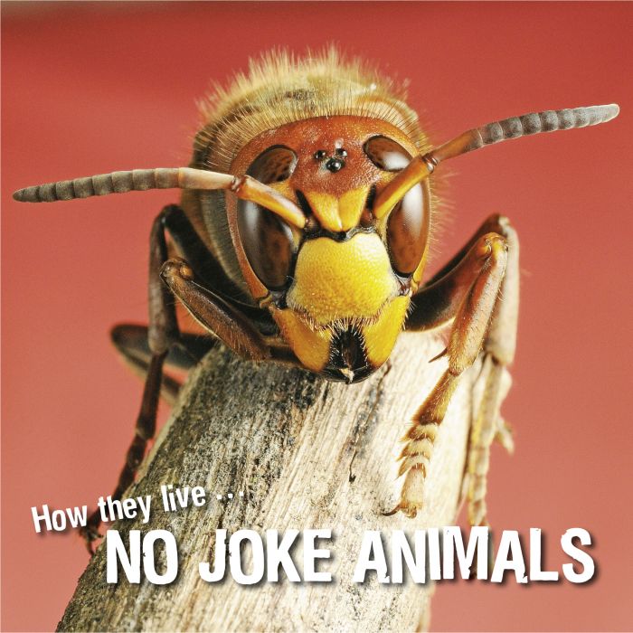 Ivan Esenko: No joke animals