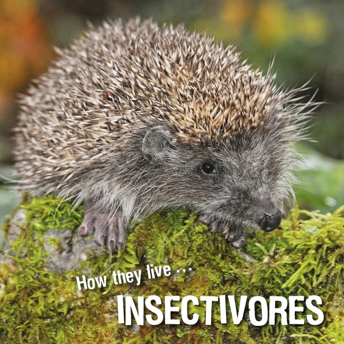 Ivan Esenko: Insectivores