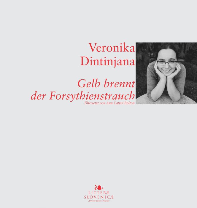 Veronika Dintinjana: Gelb brennt der Forsythienstrauch