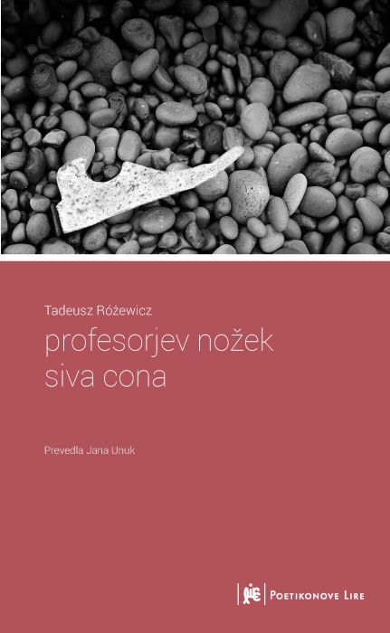 Tadeusz Różewicz: profesorjev nožek / siva cona