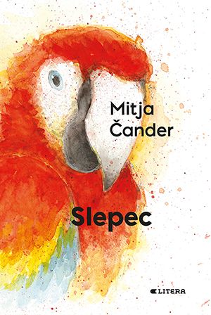 Mitja Čander: Slepec