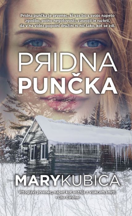 Mary Kubica: Pridna punčka