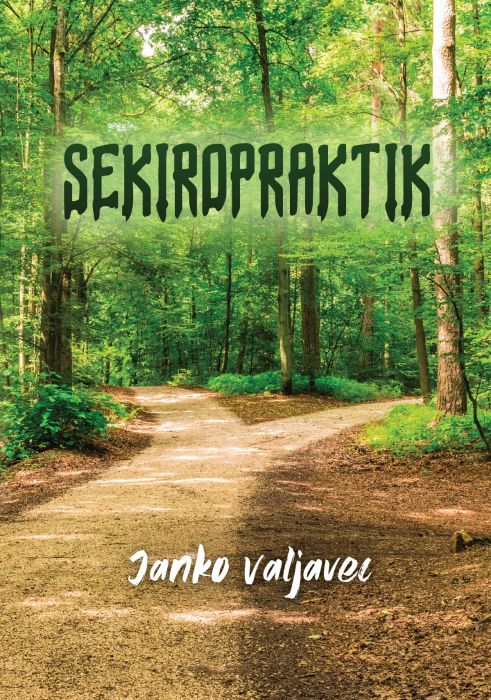 Janko Valjavec: Sekiropraktik