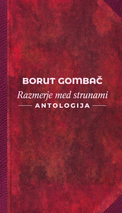 Borut Gombač: Razmerje med strunami