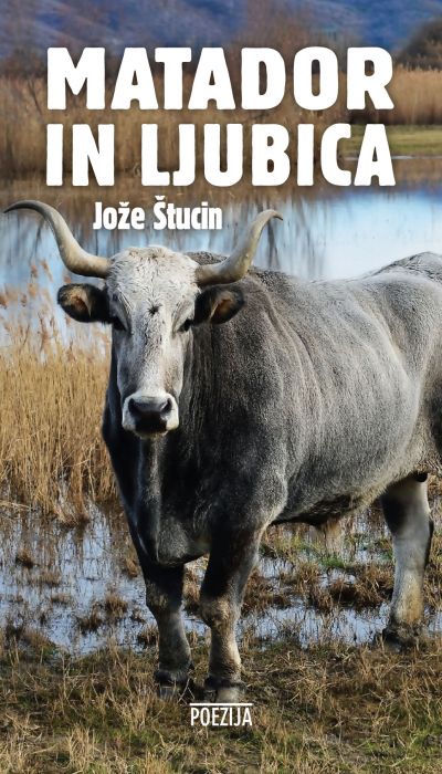 Matador in ljubica