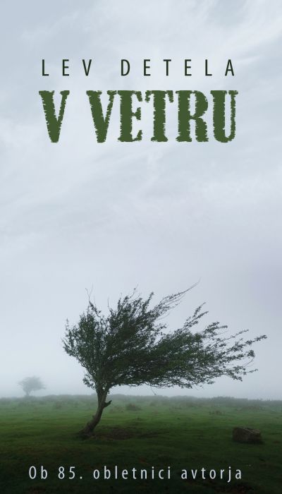 V vetru