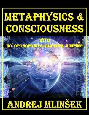 Andrej Mlinšek: Metaphysics and conciousness